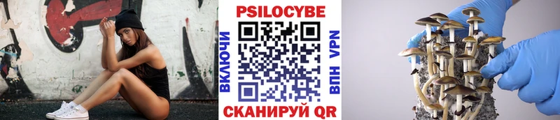 Псилоцибиновые грибы Cubensis  Кяхта 